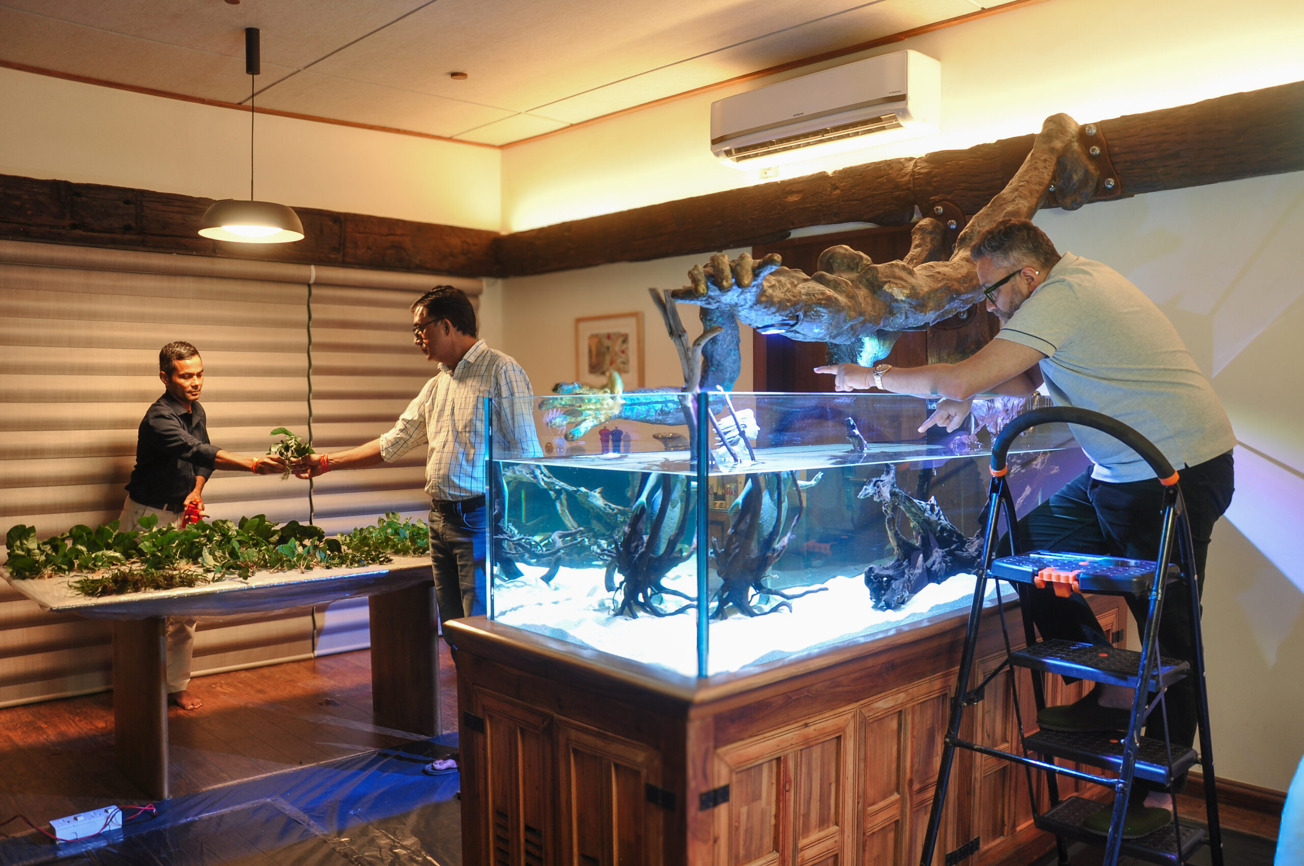 Best nano aquarium kit — a planted all-in-one nano tank