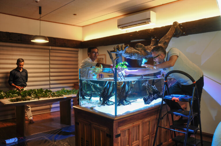 Planting a CO2-supplemented planted aquarium
