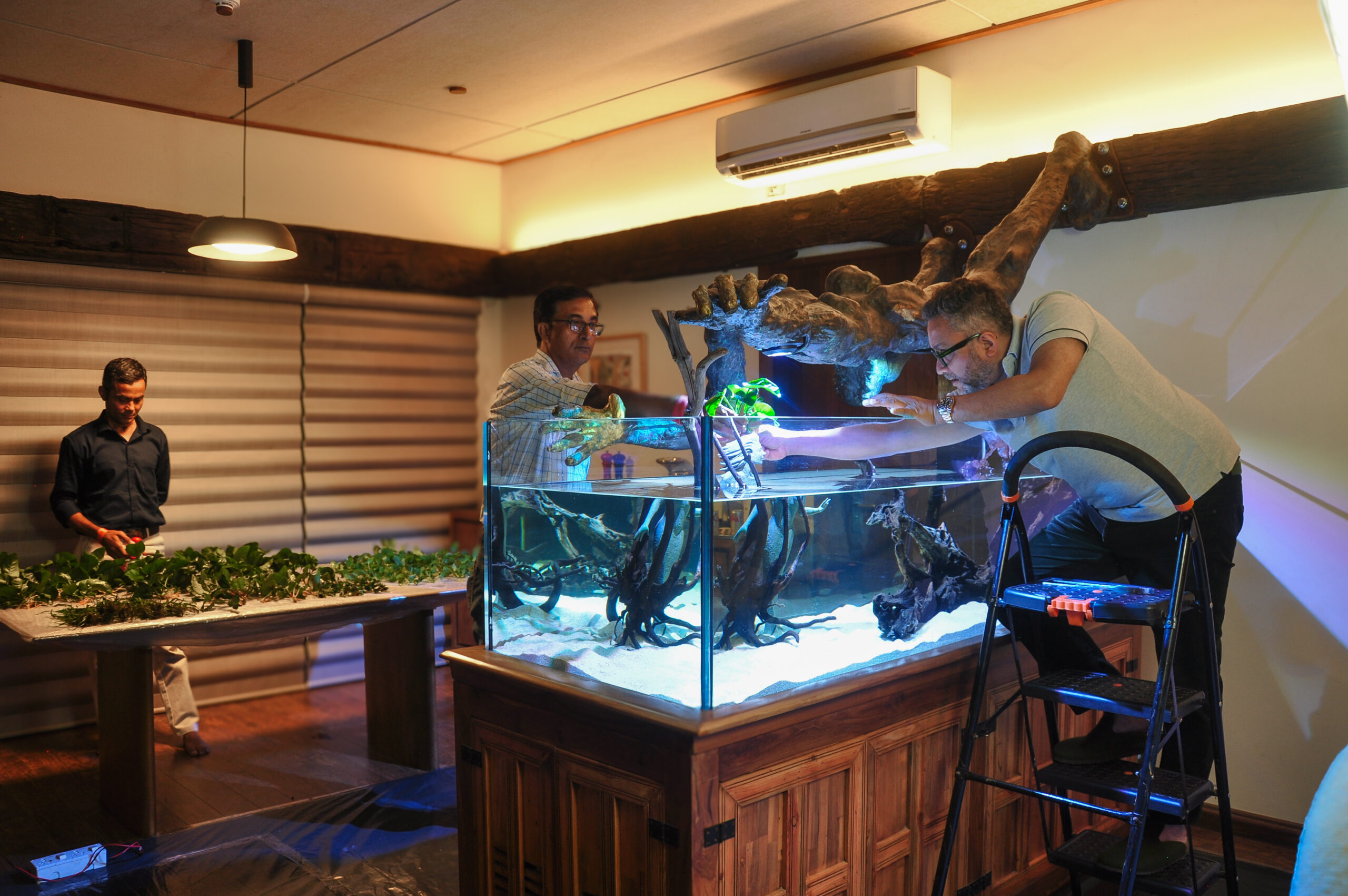 Planting a CO2-supplemented planted aquarium